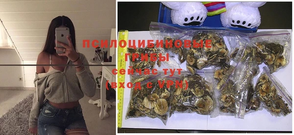 меф Белокуриха
