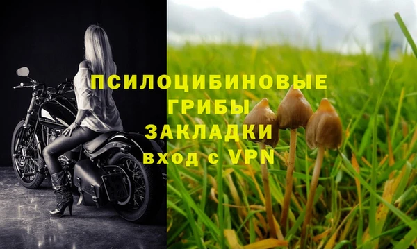 дурь Беломорск