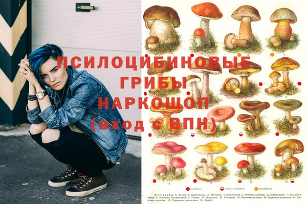 меф Белокуриха