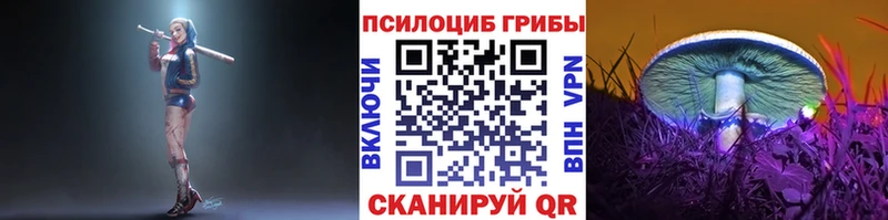 Псилоцибиновые грибы Cubensis  Бутурлиновка 